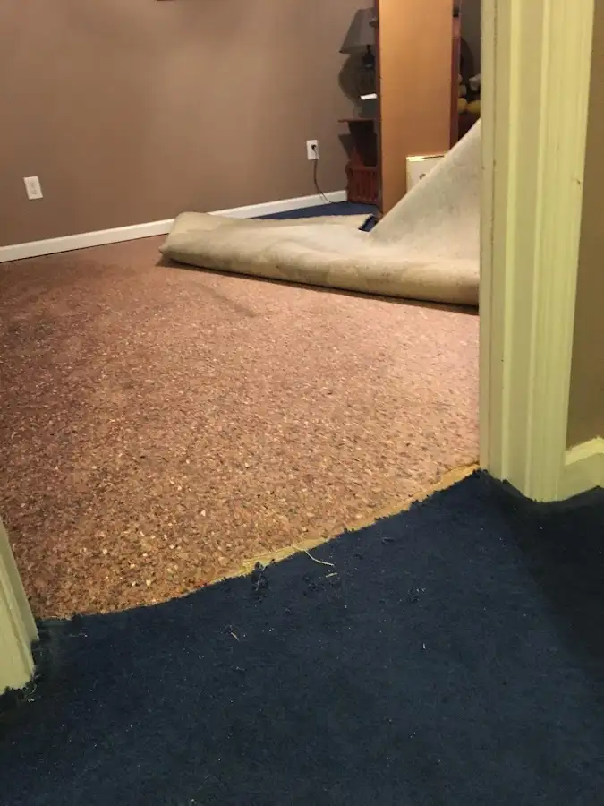 Carpet pad removal revealing water damage during Water Mitigation Services in Duxbury