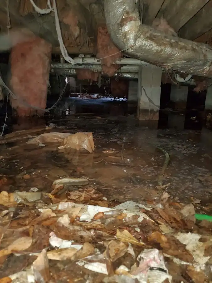 Crawl space flood assessment for Commercial Water Damage Restoration in Duxbury