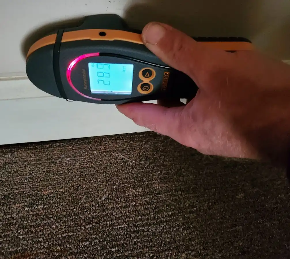 Moisture detection at baseboard during Sewage Cleanup & Sanitation in Duxbury